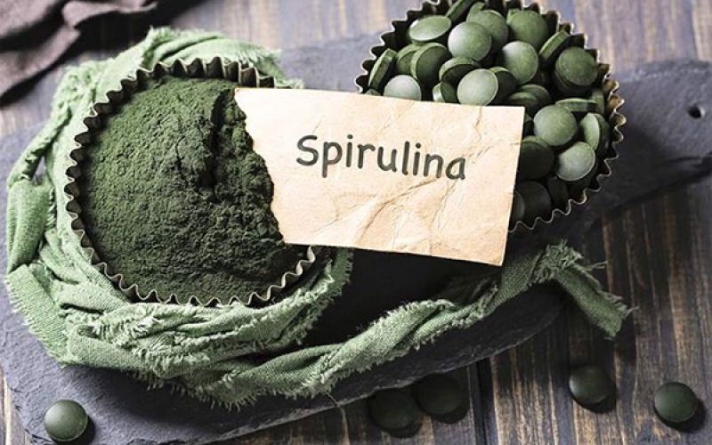 Tảo xoắn Spirulina chứa rất nhiều chất chống oxy hóa